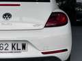 Volkswagen Beetle Cabrio 1.2 TSI Beetlemanía 77kW Blanco - thumbnail 15