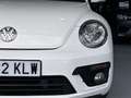 Volkswagen Beetle Cabrio 1.2 TSI Beetlemanía 77kW Blanco - thumbnail 19