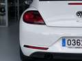 Volkswagen Beetle Cabrio 1.2 TSI Beetlemanía 77kW Blanco - thumbnail 14