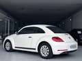 Volkswagen Beetle Cabrio 1.2 TSI Beetlemanía 77kW Blanco - thumbnail 4