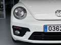 Volkswagen Beetle Cabrio 1.2 TSI Beetlemanía 77kW Blanco - thumbnail 18