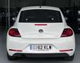 Volkswagen Beetle Cabrio 1.2 TSI Beetlemanía 77kW Blanco - thumbnail 6