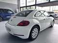 Volkswagen Beetle Cabrio 1.2 TSI Beetlemanía 77kW Blanco - thumbnail 20