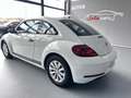 Volkswagen Beetle Cabrio 1.2 TSI Beetlemanía 77kW Blanco - thumbnail 21
