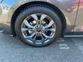 Ford Focus ST-Line X LED+AHK+Kamera+Winterpaket Gris - thumbnail 15