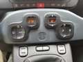 Fiat Panda 1.0 firefly 70CV hybrid Cross Bianco - thumbnail 8