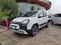 Fiat Panda 1.0 firefly 70CV hybrid Cross Bianco - thumbnail 2