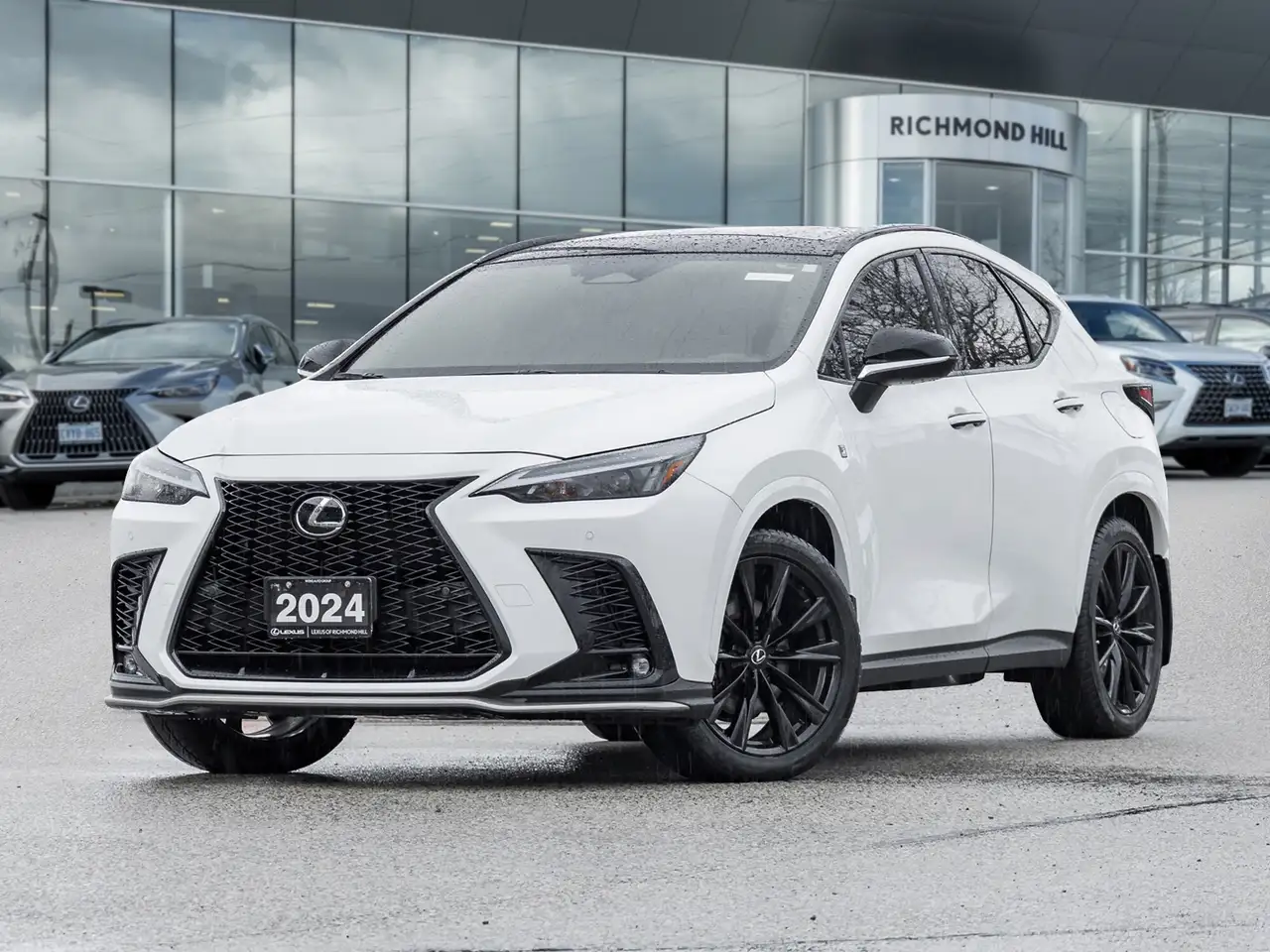 2024 Lexus NX