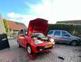 Fiat Seicento 1100 ie Sp.Abarth P. (LEES BESCHRIJVING) Roşu - thumbnail 3