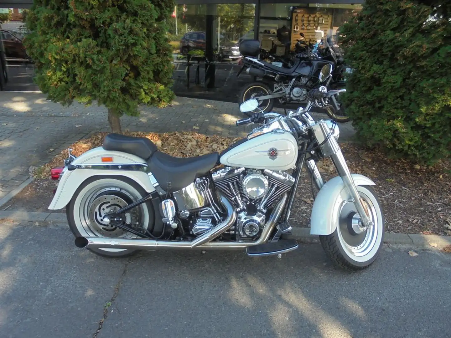 Harley-Davidson Fat Boy FLSTF Bílá - 2