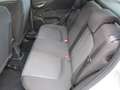 Fiat Punto 1,2 69 EASY 5türig Silber - thumbnail 13