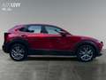 Mazda CX-30 2.0 SKYACTIV-G M Selection Matrix 360 ACC Червоний - thumbnail 7