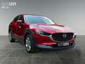 Mazda CX-30 2.0 SKYACTIV-G M Selection Matrix 360 ACC Червоний - thumbnail 8