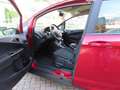 Ford B-Max 1.0 m.  KLIMA+SHZ+PDC+B/C+BEH.WSS+R/CD+ALU Rot - thumbnail 6
