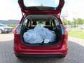Ford B-Max 1.0 m.  KLIMA+SHZ+PDC+B/C+BEH.WSS+R/CD+ALU Rot - thumbnail 12