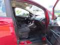 Ford B-Max 1.0 m.  KLIMA+SHZ+PDC+B/C+BEH.WSS+R/CD+ALU Rot - thumbnail 10