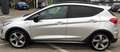 Ford Fiesta Fiesta Active 1.0 Ecoboost 100 CV aut. Start&Stop Zilver - thumbnail 5