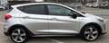 Ford Fiesta Fiesta Active 1.0 Ecoboost 100 CV aut. Start&Stop Zilver - thumbnail 4
