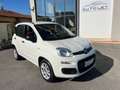 Fiat Panda 0.9 TwinAir Turbo Natural Power Lounge Blanc - thumbnail 1