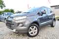 Ford EcoSport Titanium 1.0/PDC/LEDER/S-HEIZUNG Grau - thumbnail 1