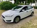 Ford Focus Ambiente Weiß - thumbnail 10