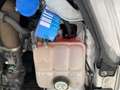 Ford Focus Ambiente Weiß - thumbnail 11