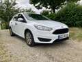 Ford Focus Ambiente Weiß - thumbnail 3