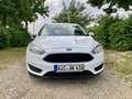 Ford Focus Ambiente Weiß - thumbnail 8