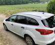 Ford Focus Ambiente Weiß - thumbnail 1