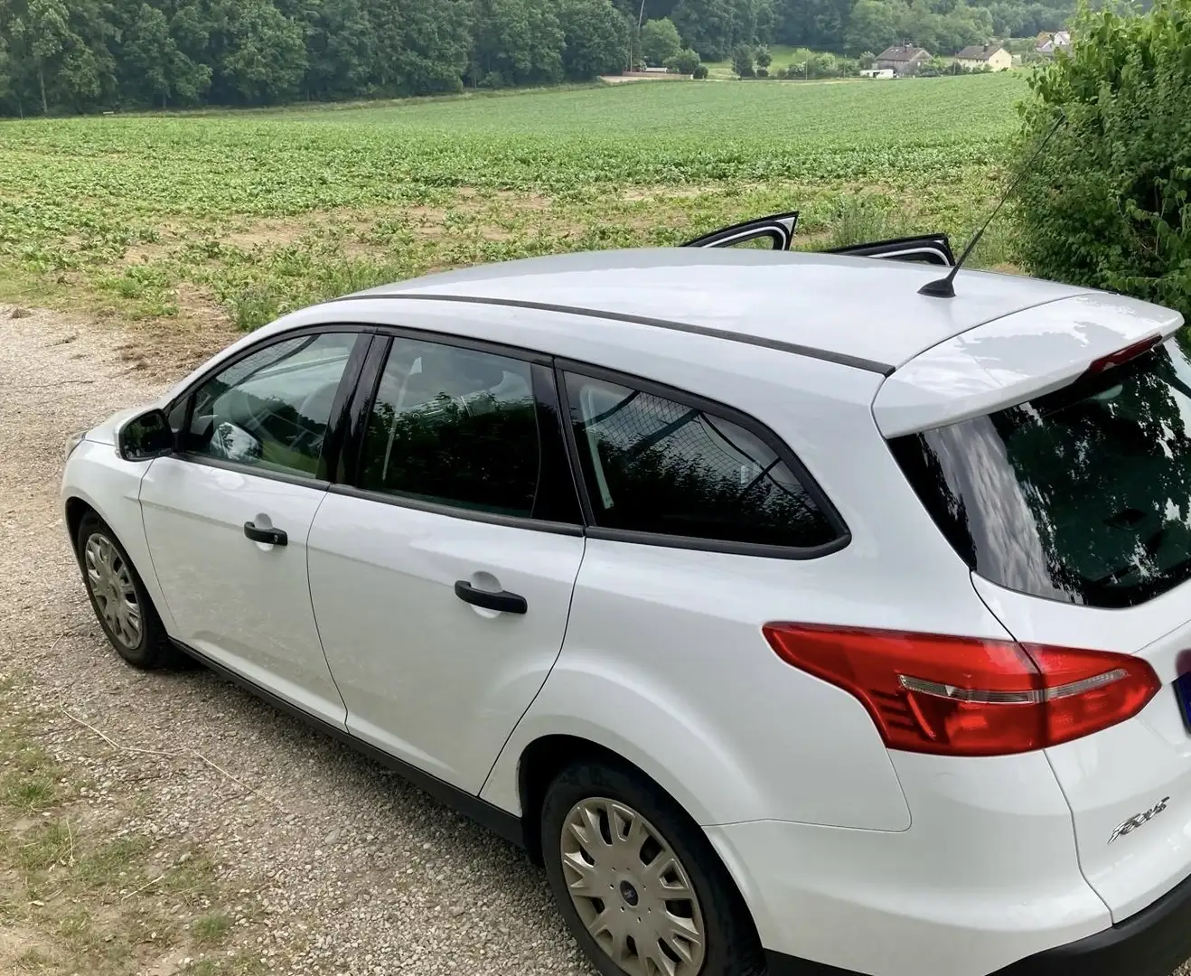 Ford Focus Ambiente Weiß - 1