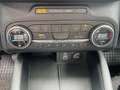 Ford Kuga 1,5 EcoBlue Titanium Weiß - thumbnail 17