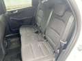 Ford Kuga 1,5 EcoBlue Titanium Blanc - thumbnail 8
