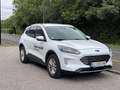 Ford Kuga 1,5 EcoBlue Titanium Blanc - thumbnail 2