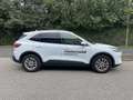 Ford Kuga 1,5 EcoBlue Titanium Blanc - thumbnail 3