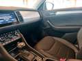 Skoda Kodiaq 2,0 TDI SCR 4x4 Style Tour DSG Grau - thumbnail 32