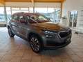 Skoda Kodiaq 2,0 TDI SCR 4x4 Style Tour DSG Grau - thumbnail 4