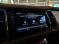 Skoda Kodiaq 2,0 TDI SCR 4x4 Style Tour DSG Grau - thumbnail 27