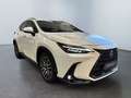 Lexus NX 300 Plug-in Luxury 4WD MY22 - thumbnail 3