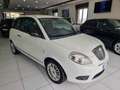 Lancia Ypsilon 1.3 MJT 75CV New Oro Bianco - thumbnail 3
