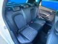 SEAT Arona 1.0 TSI S&S Xperience DSG7 110 Blanc - thumbnail 16