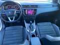 SEAT Arona 1.0 TSI S&S Xperience DSG7 110 Blanc - thumbnail 13