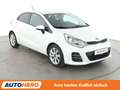 Kia Rio 1.4 UEFA Euro 2016 Aut.*NAVI*TEMPO*CAM*PDC* Weiß - thumbnail 8