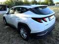 Hyundai TUCSON Tucson 1,6 T-GDI 2WD Smart Line Smart Line Weiß - thumbnail 3