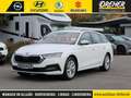 Skoda Octavia Octavia Combi 1.0 TSI e-TEC Ambition LED/Klima BC Wit - thumbnail 1