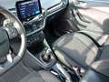 Ford Fiesta 1.0 EcoBoost S&S ST-LINE *Winter-Paket* Grijs - thumbnail 13
