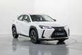 Lexus UX 250h Business City 2WD Blanco - thumbnail 3