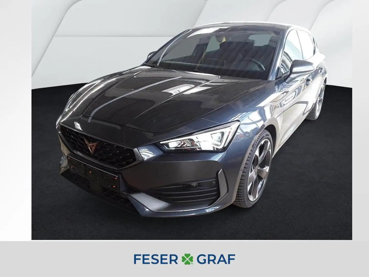 CUPRA Leon 2.0 TSI 7-Gang DSG/FaPa XL/SHZ Grau - 1