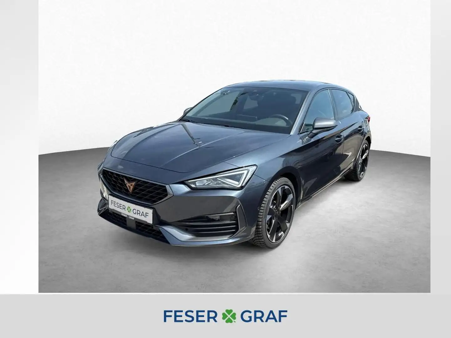 CUPRA Leon 2.0 TSI 7-Gang DSG/FaPa XL/SHZ Grijs - 1