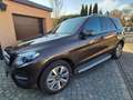 Mercedes-Benz GLE 350 GLE 350 d 4Matic 9G-TRONIC Braun - thumbnail 3