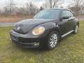 Volkswagen Beetle Design 1.2TSI Schwarz - thumbnail 1